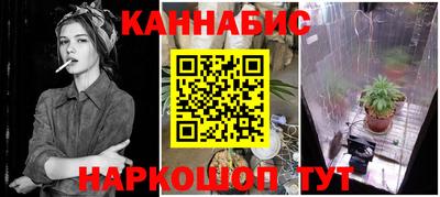 мдпв Кандалакша