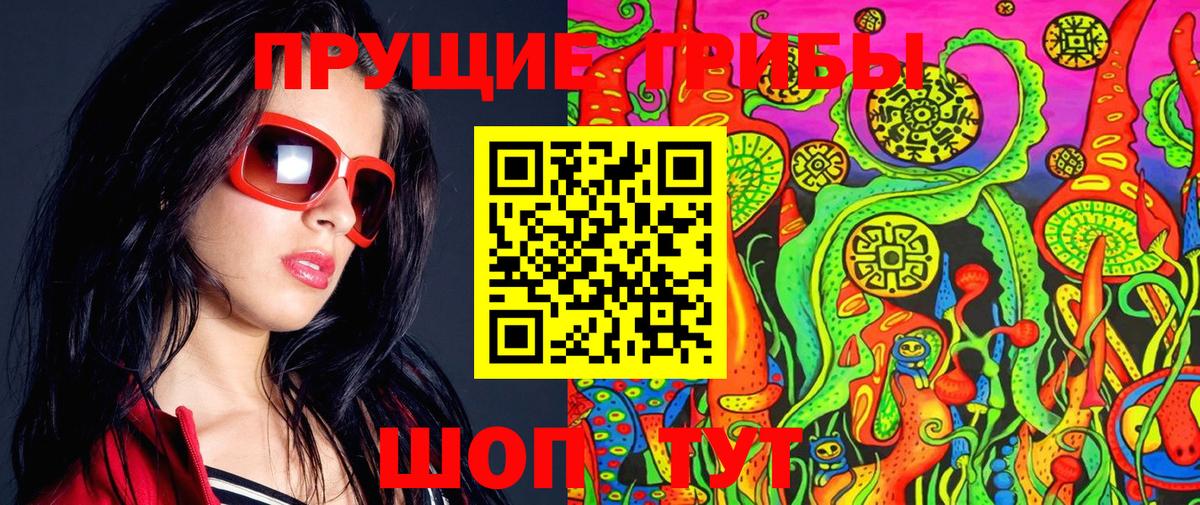 Псилоцибиновые грибы Cubensis Щёлково
