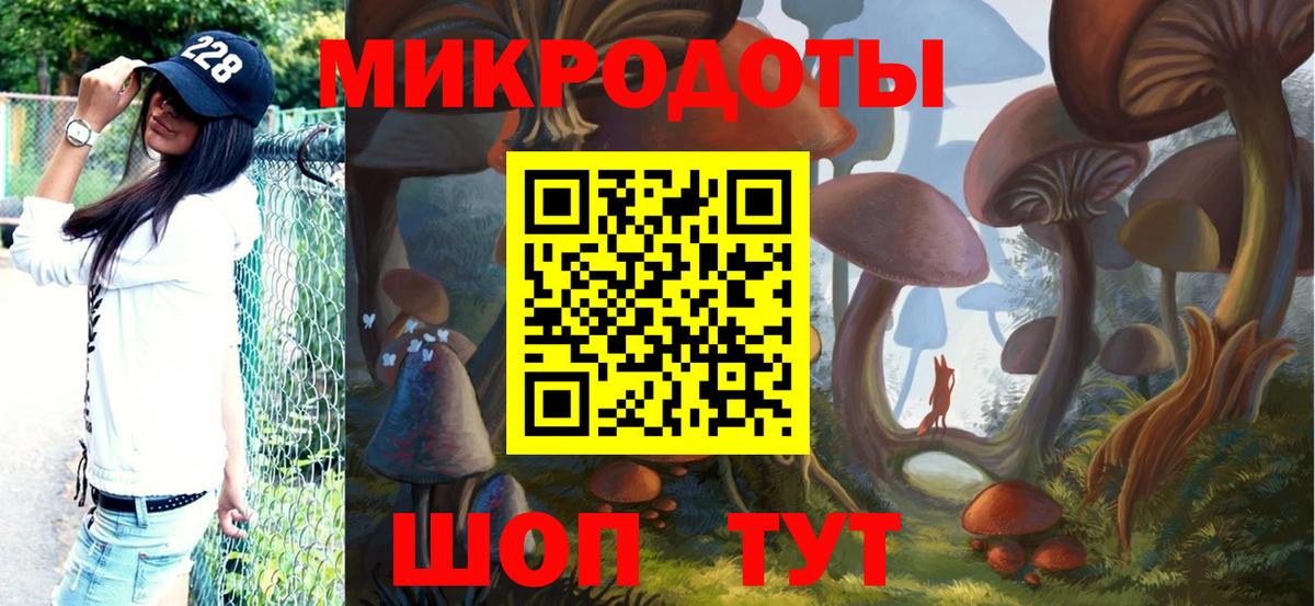 Псилоцибиновые грибы GOLDEN TEACHER  Вход с VPN  закладка  Щёлково 